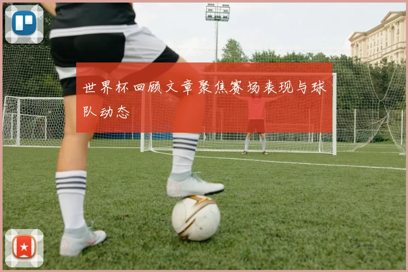 世界杯回顾文章聚焦赛场表现与球队动态