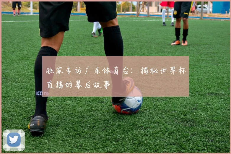 独家专访广东体育台：揭秘世界杯直播的幕后故事