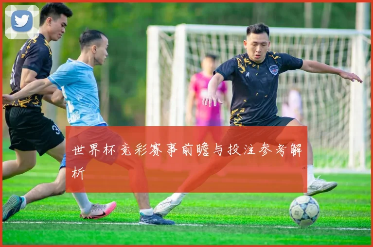 世界杯竞彩赛事前瞻与投注参考解析