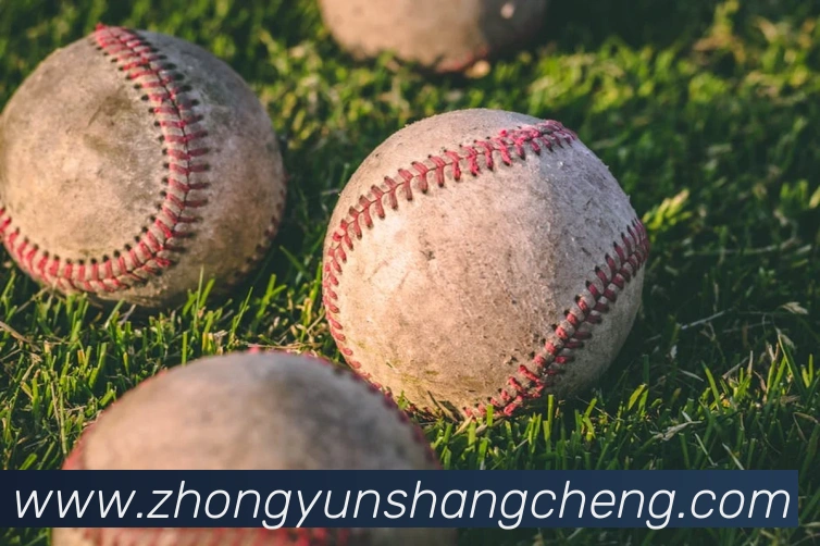 奖项证书